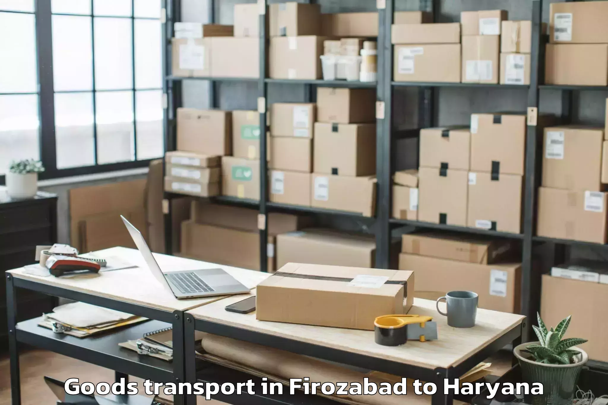 Book Firozabad to Karnal Goods Transport Online